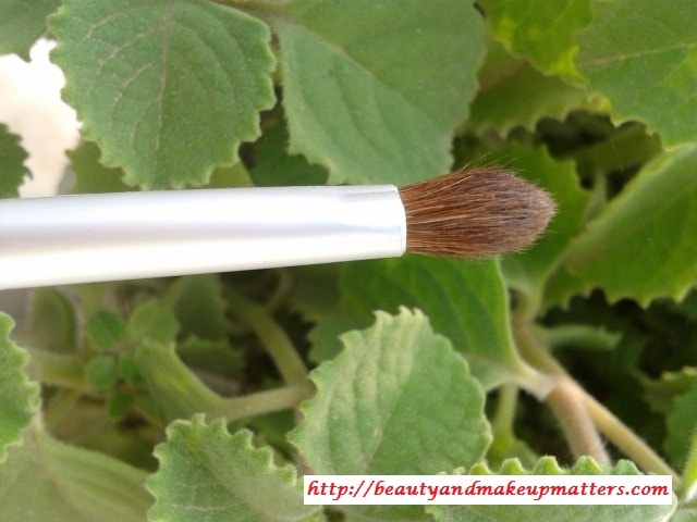 Faces-Eye-shadow-Brush-Review