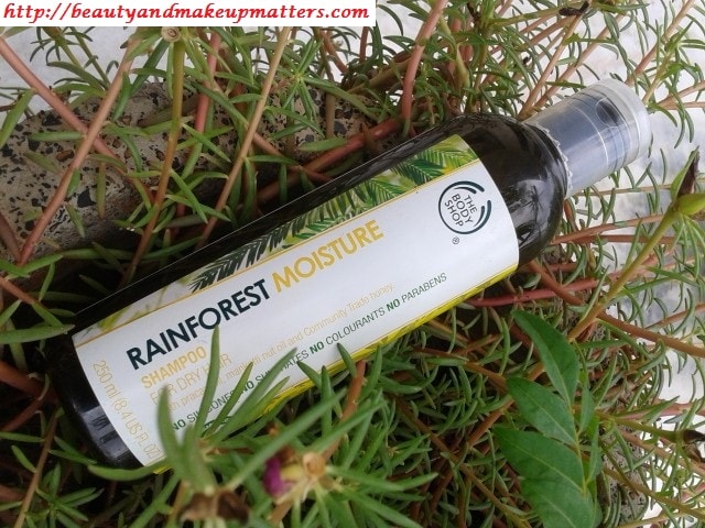 The-Body-Shop-RainForest-Moisture-Shampoo-For-Dry-Hair-Review