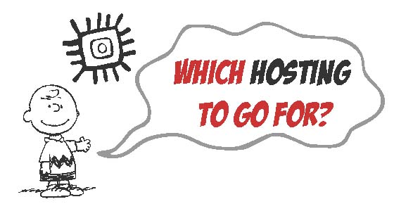 Which web Hosting to choose