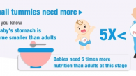 6 Month Baby Nutrition Needs