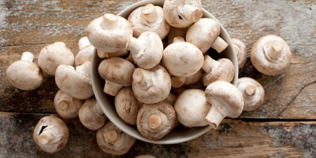 Super Foods That Every Woman Needs - Mushrooms